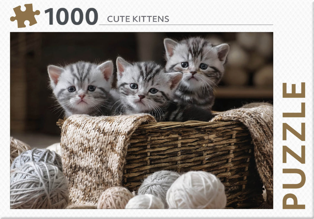 Puzzel kittens 1000 stukjes